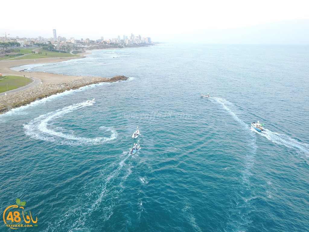 iste3rad sayaden yaffa (11).JPG